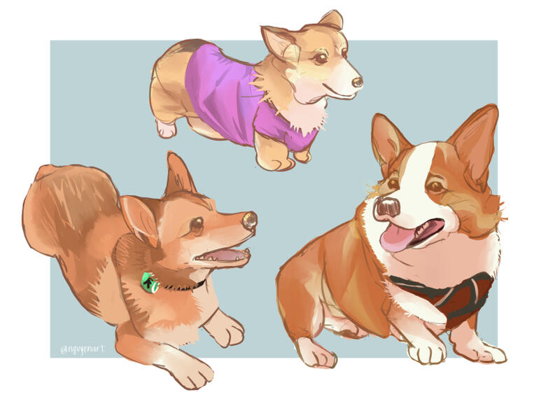 Corgis (2025)